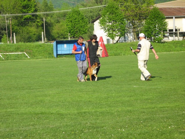 www.atibox.net * www.euroboxer.eu * www.boxergenealogia.eu